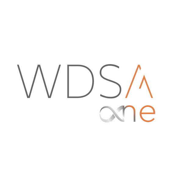 Screenshot of WDSA One WooCommerce Plugin interface showing e-commerce functionality